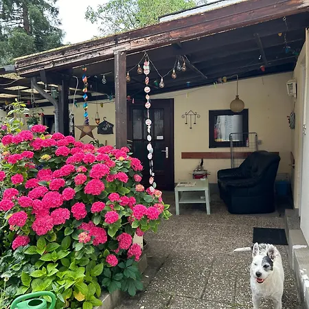 منزل للإقامة Mit Eigenem Bad Und Blick Auf Den Rhein *