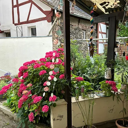 Mit Eigenem Bad Und Blick Auf Den Rhein *