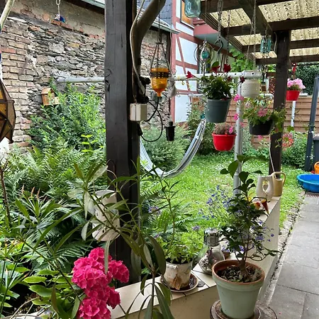 Mit Eigenem Bad Und Blick Auf Den Rhein Δωμάτια σε οικογενειακή κατοικία *