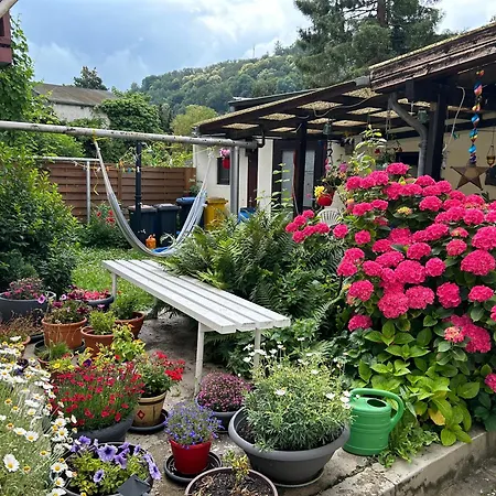 Mit Eigenem Bad Und Blick Auf Den Rhein