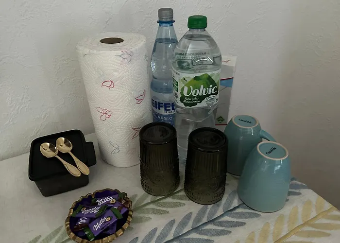 Mit Eigenem Bad Und Blick Auf Den Rhein Osterspai