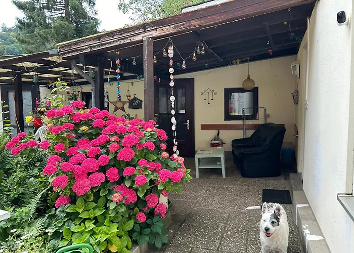 Séjour chez l'habitant Mit Eigenem Bad Und Blick Auf Den Rhein *