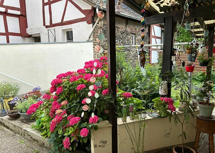 Mit Eigenem Bad Und Blick Auf Den Rhein *