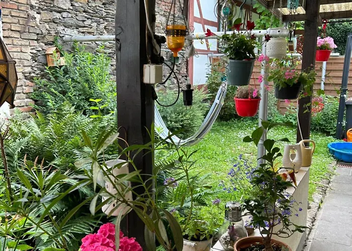 Mit Eigenem Bad Und Blick Auf Den Rhein Séjour chez l'habitant *