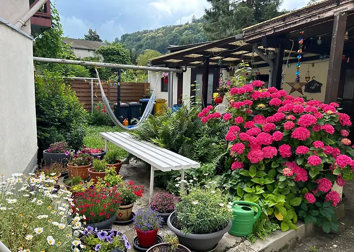 Mit Eigenem Bad Und Blick Auf Den Rhein